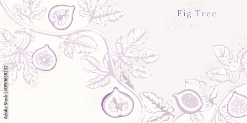 Botanical illustration of fig tree branches leaves and sliced figs