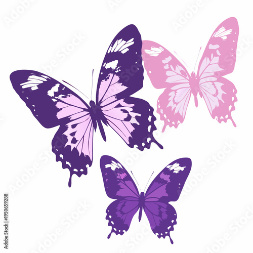 Three colorful butterflies with intricate patterns float against a white background