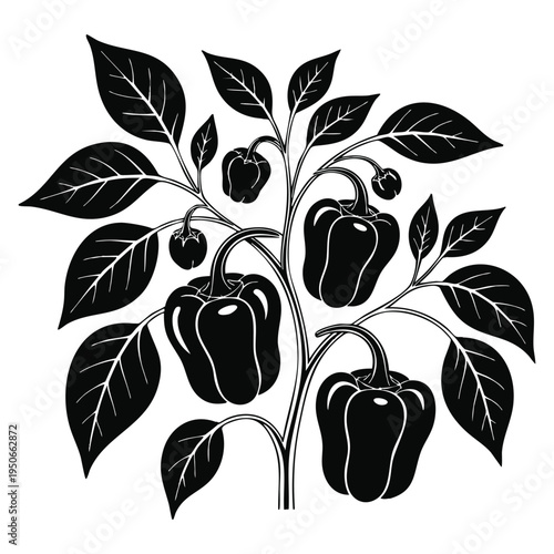 Plant with leaves and ripe peppers vegetable for cooking and healthy food ingredient for gastronomy and gourmet dishes vector illustration