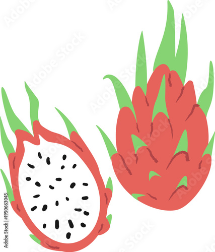 DragonFruit Halved Pair HandDrawn