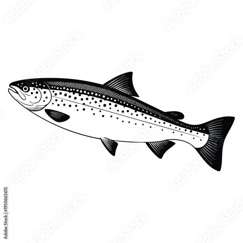 Salmon fish ink sketch isolated on white background hand drawn vector illustration in retro style for seafood themes