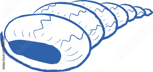 Seashell Spiral Sketch Linework