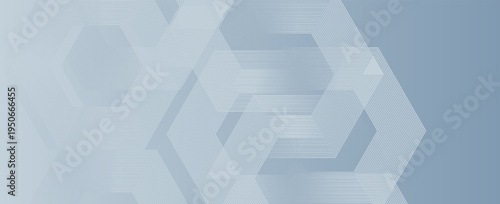 Abstract hexagon lines on gray background. Geometric stripe line art design modern. vector illustration