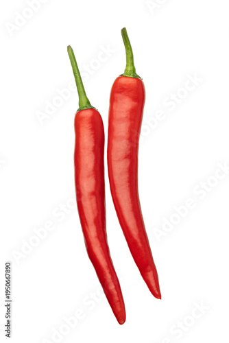 Fresh Red Chili Peppers Row Isolated on White Background