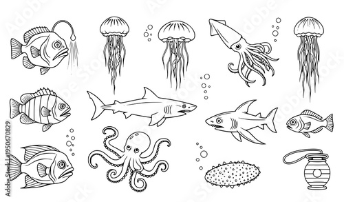 A black and white line art illustration of various sea creatures including fish jellyfish squid octopus and a scuba tank on a plain white background