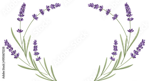 Elegant Lavender Sprigs Forming a Decorative Frame.