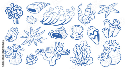 SeaLife Elements HandDrawn Set