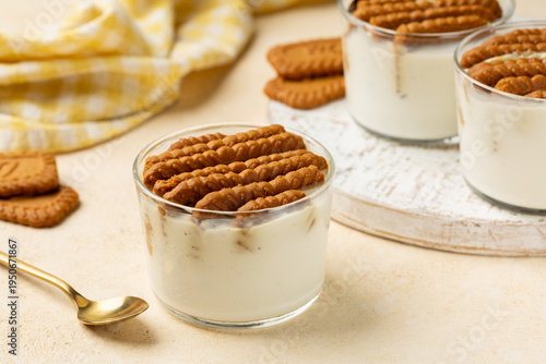 The viral two ingredient Japanese yogurt cheesecake, homemade no-bake, high-protein dessert made by inserting hard cookies into a Greek yogurt.