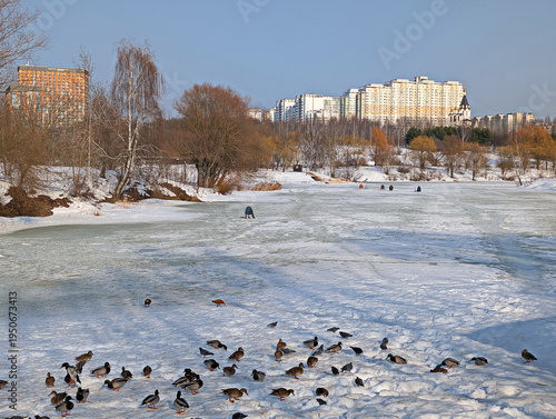 A spring day in the Moscow suburb