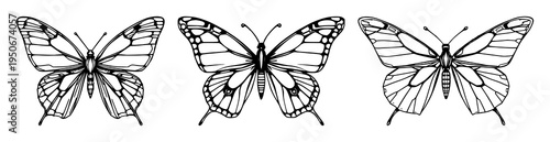 Butterfly set with symmetrical line art design featuring cybernetic, mechanical, wings with white background and modern tech-nature