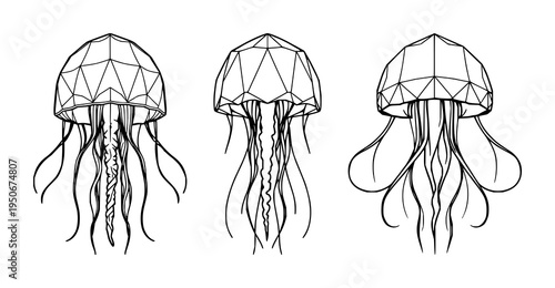 Jellyfish set with symmetrical line art design featuring marine life, polygon shape, modern style with sea creature and underwater animal