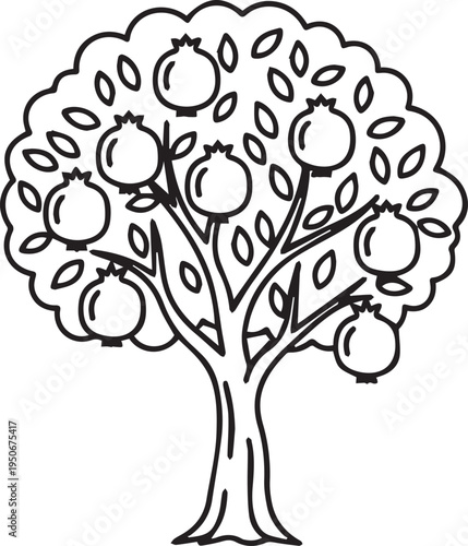 hand drawn pomegranate tree illustration with ripe fruits isolated on white