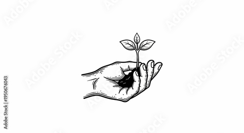 Hand Holding Small Plant with Leaves.