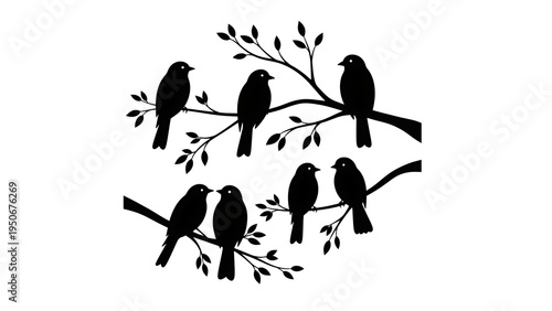 Set of 6 black bird silhouettes on tree branches