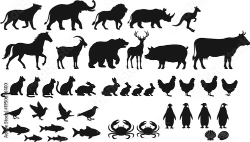 Vector illustration of diverse animal silhouettes including mammals, birds, fish, and marine life for education and design