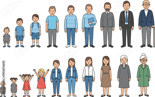 Vector illustration of human growth and aging stages for males and females