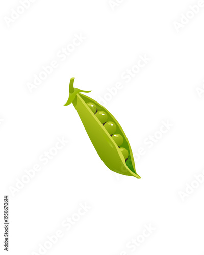 green pea pod