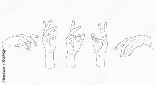minimalist line art female hands in elegant poses a versatile vector illustration for design beauty and creative projects.