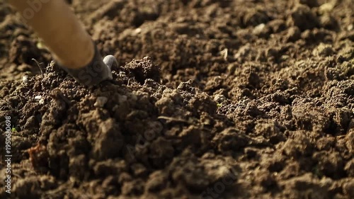 Farmer using a hand hoe  loosening fertile soil for planting