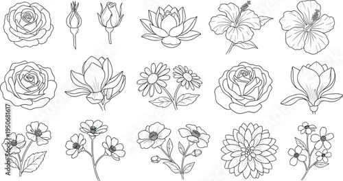 Floral Line Art Flower Collection with Rose Lotus Hibiscus Daisy Magnolia and Botanical Blossom Outline Illustration Set for Decorative Vector Design