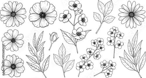 Hand Drawn Botanical Flower and Leaf Collection with Vintage Floral Sketch Elements Wild Flowers Branches and Garden Plants Line Art Vector Set