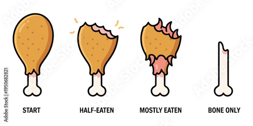 Fried chicken drumstick eating stages. Progression from whole to bite marks, half-eaten, mostly eaten, and bare bone