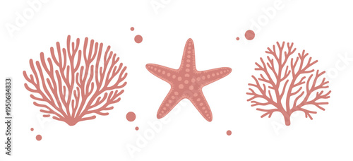 Coral and starfish with bubbles sea life ocean underwater