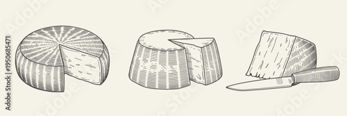 Three types of cheese with a knife in engraving style