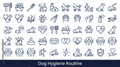 Pet hygiene routine symbols and animal wellbeing tools associated with keeping cats clean comfortable and healthy represented as