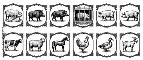 Vintage set of farm animal illustrations featuring a pig, cow, horse, sheep, goat, and poultry in a classic black and white engraving style, each enclosed within an ornate decorative frame