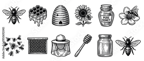 Set of beekeeping and honey illustrations in a vintage engraving style, featuring a bee, honeycomb, beehive, honey jar, dipper, sunflower, blossom, and a beekeeper hat