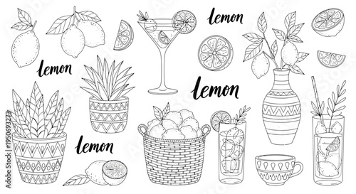 black and white hand drawn lemon fruits refreshing drinks potted plants and text elements collection ideal for summer design.