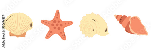 Seashell and starfish collection – beach shells set isolated vector illustration