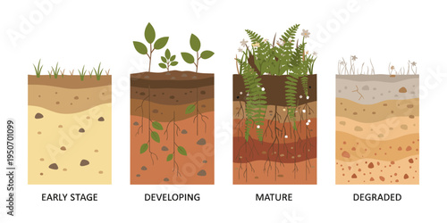 Soil forming, depicting horizons and plant growth from initial stages to developed and degraded conditions, illustrating soil health