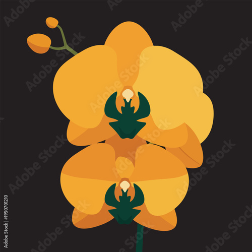 Yellow Orchid Flowers Vector Illustration on Black Background