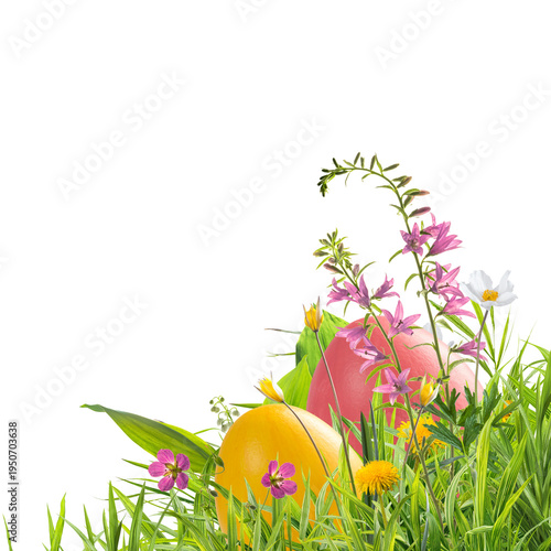 Easter eggs and wild flowers in spring grass isolated on transperent background