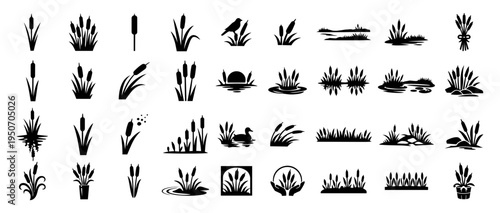 Cattail Silhouette Set – Wetland Reed Plants, Marsh Grass and Decorative Botanical Icons Collection