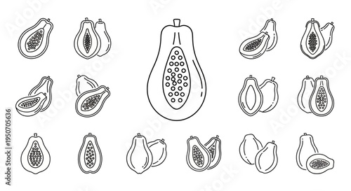 Variety of Guava Fruit Illustrations.
