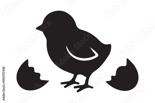 Newborn chick with broken eggshell silhouette icon