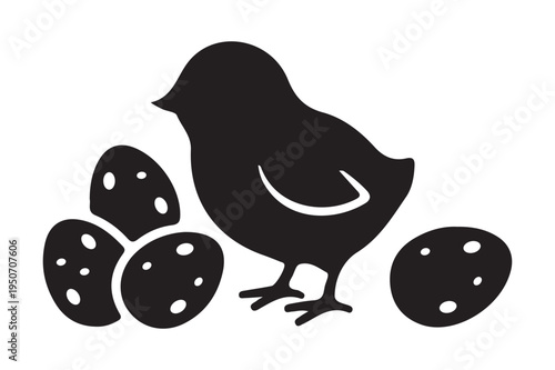 Little chick with eggs silhouette farm animal vector
