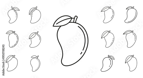 Detailed line drawings of multiple pears.