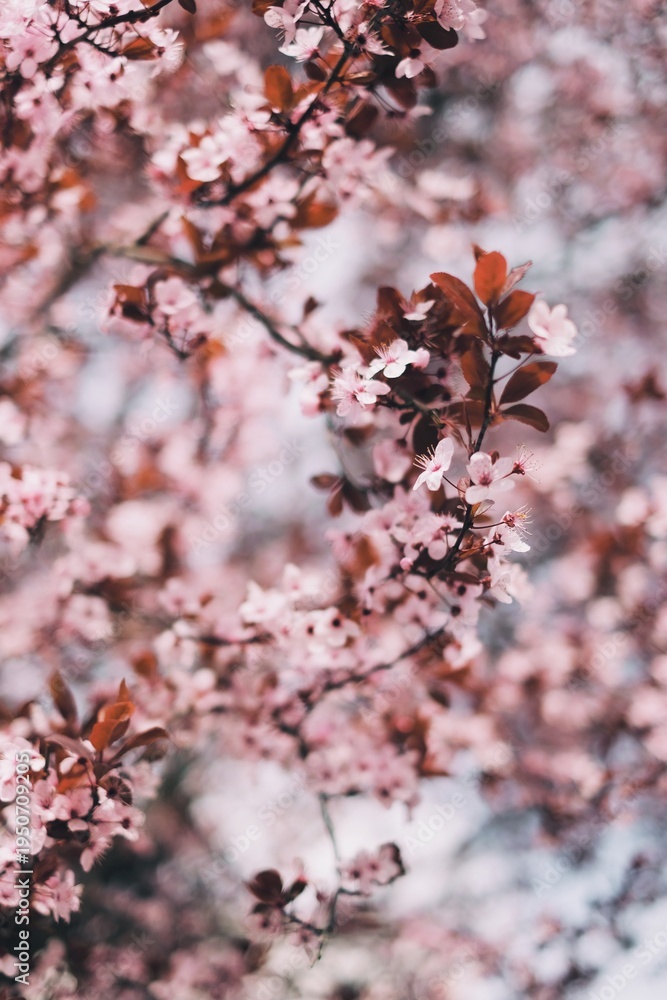 Obraz premium Processed with VSCO with a1 preset