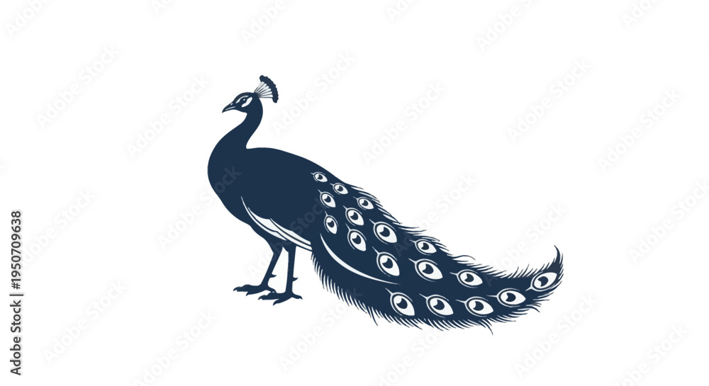Fototapeta premium Navy blue silhouette of a peacock standing in profile view with a long trailing tail featuring stylized eye patterns. Decorative bird vector illustration isolated on white background.