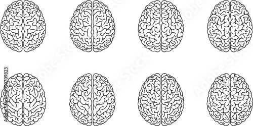 Top view human brain line art set, multiple anatomical variations, neuroscience illustration collection isolated on white background for medical and educational use