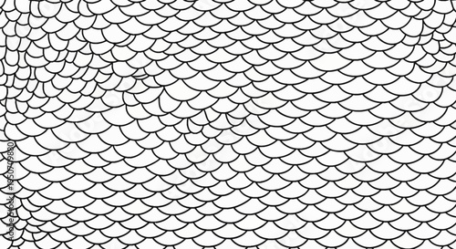 Hand-drawn black and white seamless pattern of overlapping scales forming a repetitive texture resembling dragon skin, fish scales, or mermaid armor on a clean white background.