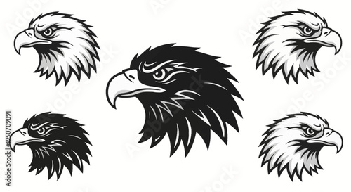 Set of five bald eagle head illustrations in black and white profile view. Vector graphic collection featuring stylized bird of prey heads with detailed feathers and sharp hooked beaks.