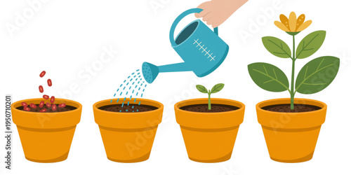 A colorful vector illustration of a hand watering potted plants in different growth stages on transparent background