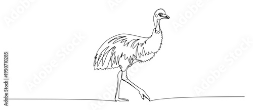 ostrich line art illustration in walking pose