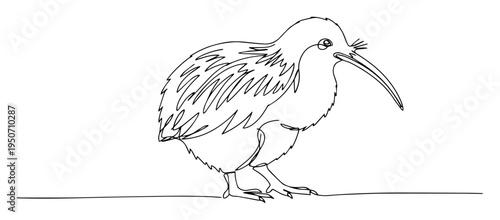 kiwi bird line drawing in black and white