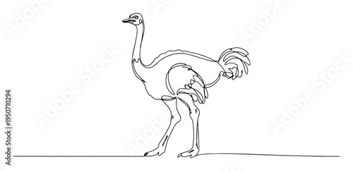 standing ostrich drawn in minimalist line style